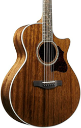 Chitarre acustiche - Ibanez AE Series AE245-NT Natural precio