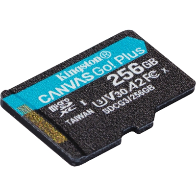 Canvas Go! Plus memoria flash 256 GB MicroSD UHS-I Classe 10, Scheda di memoria