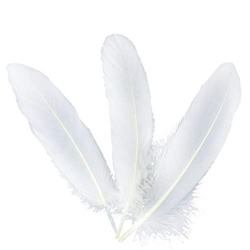 Vokmon 50PCS 15-20cm Piume Bianco Piuma D'Oca Fai da Te Artigianato Naturale Beautiful Wedding precio