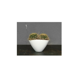 Vaso piante Corino Bruna Bruna 405/20VA precio