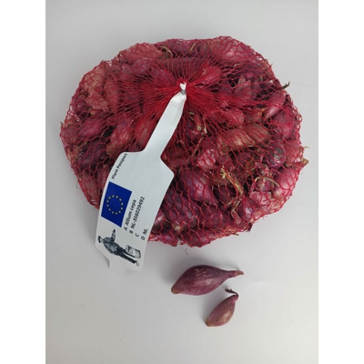 Cipolla rossa Romy tipo Tropea - 500 gr
