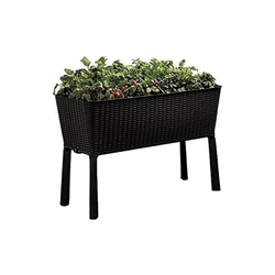 Keter Easy Grow 17194592 - Giardino Rialzato Per Verdure, Antracite precio