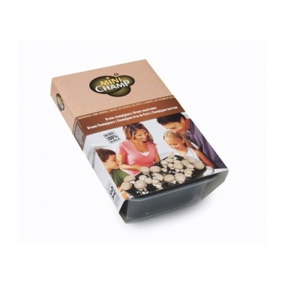 Kit per Fungo Champignon Marrone KAPITEYN