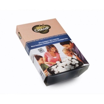 Kit per Fungo Champignon Bianco KAPITEYN