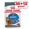 36 + 12 gratis! 48 x 85 g Royal Canin umido per gatti - Sensory Taste in Gelatina