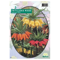 Fritillaria Imperialis Mixed en oferta