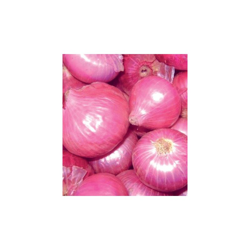 Cipolla Rossa Red Baron 500Gr Da Interrare Bulbi Orto Giardino características