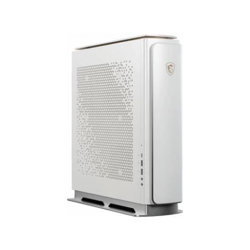 PC Desktop Creator P100X 11TE-637EU Intel Core i7-11700K Octa Core 3,6 GHz Ram 64 GB Hard Disk 2TB SSD 1TB Nvidia GeForce RTX 3080 10GB 5x USB 3.2 Windows 10 Pro precio