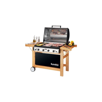 Barbecue Profy 4 inox