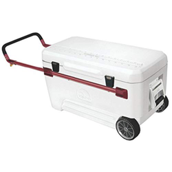 Igloo Ghiacciaia Ultra 110 precio