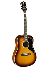 EKO Guitars 06216942 RANGER Series VR VI Dreadnought Chitarra acustica-elettrica, Honey Burst precio