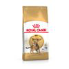 Royal Canin Bengala - Set % 2 x 2 kg precio