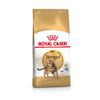 Royal Canin Bengala - Set % 2 x 2 kg