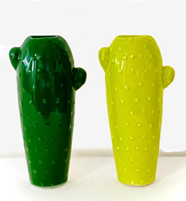 Umidificatore Termosifoni -SET DA 2 - Evaporatori d’Acqua con Motivo CACTUS per Umidificare l’Aria della Stanza in Ceramica (2 Pezzi) in due varianti 