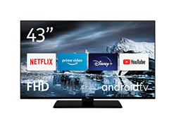 Nokia Smart TV 4300B 43 pollici TV LED (Full HD, AV Stereo, contrasto dinamico, assistente vocale, triplo sintonizzatore - DVB-C/S2/T2), Android TV, c precio