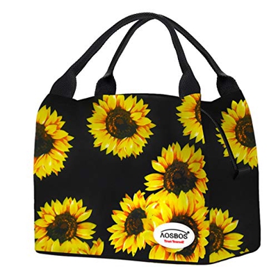 Aosbos Borsa Frigo Impermeabile Eccellente Isolamento Grande Capacità 8,5L Frigorifero Portatile per Campeggio/Mare/Pesca/Escursione/Picnic/Viaggio, M