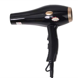 Leggero, Silenzioso, Asciugacapelli elettrico professionale a infrarossi lontani a basso rumore Strumenti per lo styling Parrucchiere Viaggi per uso d en oferta