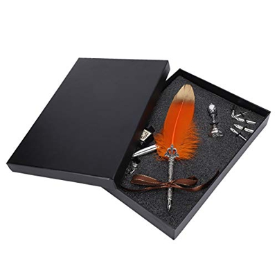 Set penna e inchiostro, Kit pennino penna piuma Penna scrittura piuma Penna piuma vintage Penna penna e inchiostro Set per scrivere per regalo di fasc