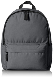 Amazon Basics ZH1508073, Zaino classico , Grigio, 21 liters, precio