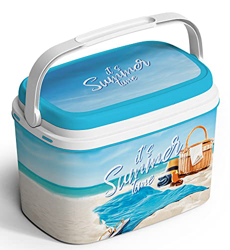 FRIGO PASSIVO PORTATILE PLASTICA ANTIGRAFFIO 6 LITRI BEACH ITALIANO BORSA TERMICA BAULETTO ITALIA características