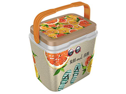 Life Story Cooler Box Frigo, Isolata, Portatile, Maniglia per Il Trasporto, Sistema di Blocco, Fatto in Francia, 6/29 L características