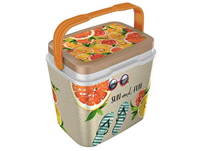 Life Story Cooler Box Frigo, Isolata, Portatile, Maniglia per Il Trasporto, Sistema di Blocco, Fatto in Francia, 6/29 L