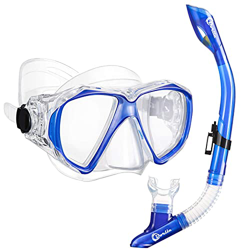 Dorlle Snorkel Dry Snorkel Set Maschera da Snorkeling, Premium Adult Snorkel Diving Set con Occhiali da Sub e Maschera da Sub Anti-Perdita antiappanna precio