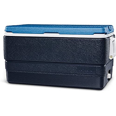 IGLOO Maxcold, Frigorifero all’Aperto, Blu, 66 Litro