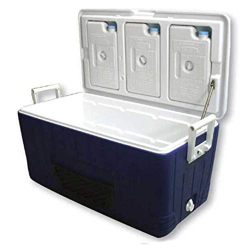 ghiacciaia portatile seacool 80lt en oferta