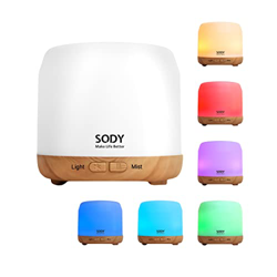 Difusore Profuma Ambienti Elettrico,Mini Vaporizzatore Oli Essenziali da Scrivania per Ufficio,Camera da Letto,Spegnimento Automatico, 2 modalità di N en oferta