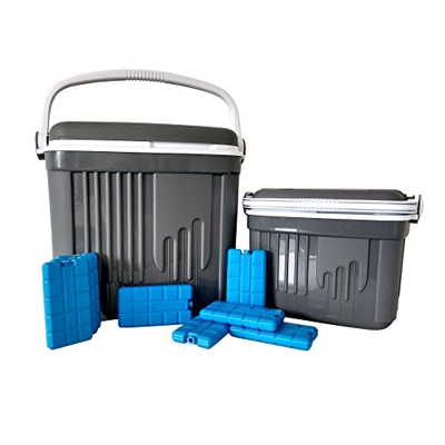ToCi Borsa frigo grande e piccola, 2 contenitori termici passivi (32 e 8 litri) in grigio, set di borse termiche da campeggio con 8 batterie di raffre