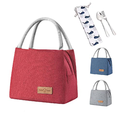 Yokimico Borsa Frigo Piccola 5.5L, Borsa Termica Pranzo per il lavoro gita scolastica campeggio picnic (5.5L, Rosso) características