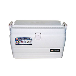 IGLOO Ghiacciaia Ultra 54 precio