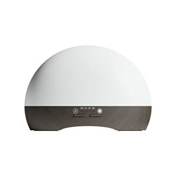 Aroma Diffusore Casa Olio Essenziale Lampada Camera Da Letto Dormire Telecomando Lampada Notte Umidificatore Profumo Forno BG3 en oferta