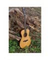 Eko WOW A800E CR LTD (Cedar/Rosewood)