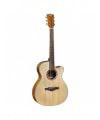Eko Guitars Alps J450CE precio