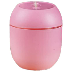 Selotrot Umidificatore portatile piccolo - mini umidificatore portatile da 250 ml, umidificatore per piante, ufficio, auto características