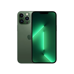 Apple iPhone 13 Pro Max (1 TB) - Verde alpino precio