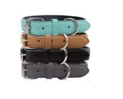 Generico Collare in PU con Interno in Neoprene. Misura: W1.5*L25-32cm precio