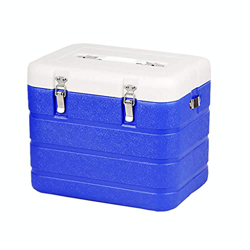 Mini Frigorifero Portatile da 6 Litri, refrigeratore e riscaldatore Ideale per casa, camere da Letto, uffici, Campeggio, roulotte, Dotato di Cinturino características