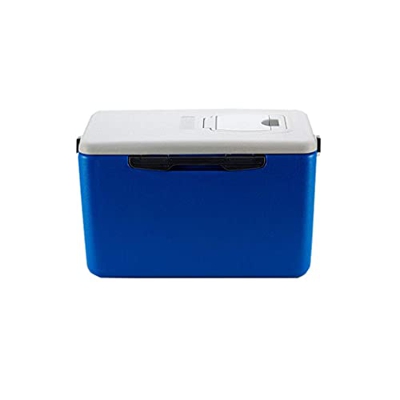 Mini Frigorifero Portatile da 26 Litri, refrigeratore e riscaldatore Ideale per casa, camere da Letto, uffici, Campeggio, roulotte, Dotato di Maniglia