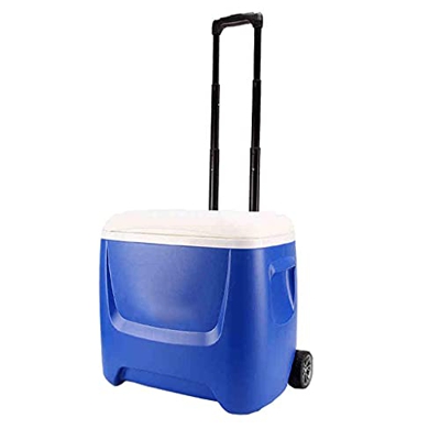Mini Frigorifero Portatile 28QT 26L Refrigeratore e riscaldatore Ideale per casa Camere da Letto Uffici Campeggio Caravan Lattine Bevande - Viene Forn