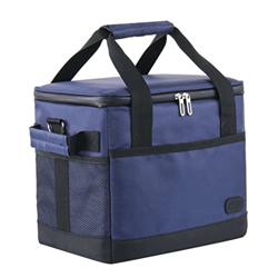 Borsa di raffreddamento isolata Portante portatile per picnic per pranzo da pranzo da campeggio da campeggio da campeggio 10 litro picnic da picnic características