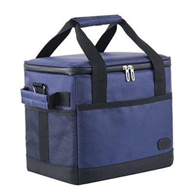 Borsa di raffreddamento isolata Portante portatile per picnic per pranzo da pranzo da campeggio da campeggio da campeggio 10 litro picnic da picnic