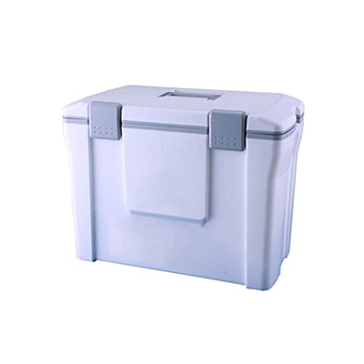 Portatile 25L Frigo Portatile Passivo Mini Frigo Dispositivo di Raffreddamento e Riscaldatore Ideale per Casa Camere da Letto Uffici Campeggio Carroul