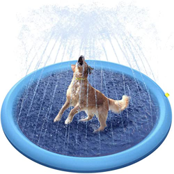 FiveShops Piscina Cani Rigida, Giochi d'Acqua per Piscina da Bagno per Cani Impermeabili e a Prova di Sporco Adatti per la Piscina Estiva per Animali  precio