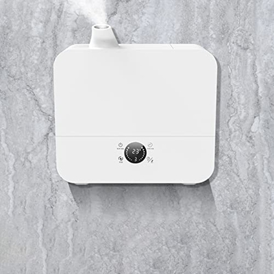 PROFESSIOONAL Umidificatore Industriale Home Commerciale a Parete Desktop Macchina per aromaterapia a Doppio Uso Piccoli elettrodomestici Diffusore Am