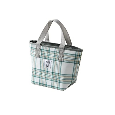 WYEUQ Portatile Borsa Termica Borsa Pranzo Borsa Frigo Isoterma Borsa Pasto per Lavoro, Scuola, Picnic, Campeggio e Viaggi(Size:Piccolo,Color:Package 