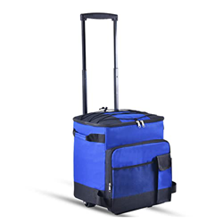 WYEUQ Borsa Frigo Portatile con Tirante Borsa Pasto Grande capacità 35L Borsa Frigo per Il Campeggio, l'escursionismo, la Spiaggia, la Pesca, Il Parco características