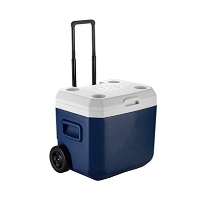 Cooler Box 52L con Ruote | Raffreddatore Rigido su Ruote | per Campeggio, Barbecue, attività all'aperto